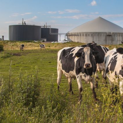 Rinnovabili • Impianti a biogas agricolo