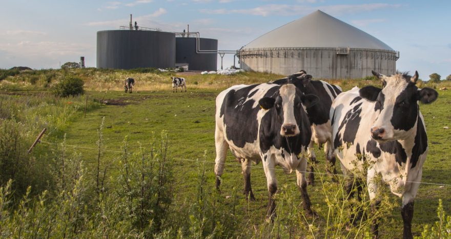 Rinnovabili • Impianti a biogas agricolo