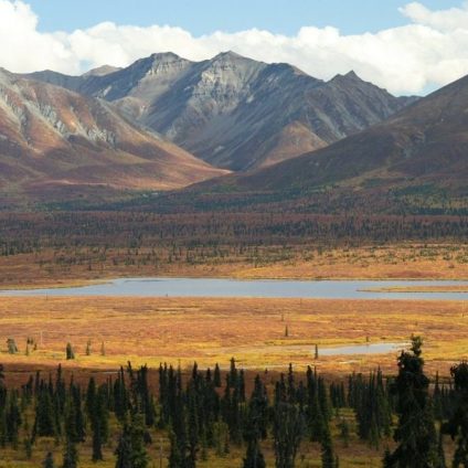 Rinnovabili • Emissioni dal permafrost: stime al rialzo per la CO2 dall’Artico