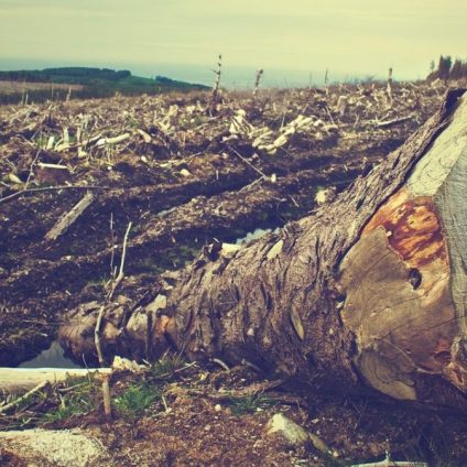 Rinnovabili • Accordo UE-Mercosur, la Francia non cede su clima e deforestazione