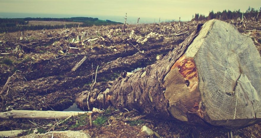 Rinnovabili • Accordo UE-Mercosur, la Francia non cede su clima e deforestazione