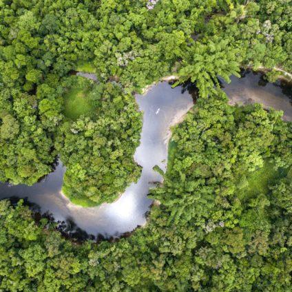 Rinnovabili • Amazzonia: la foresta pluviale ormai è un contributore netto di gas serra