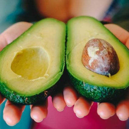 Rinnovabili • Pesticidi: l’avocado primo sospettato per la strage di api colombiane