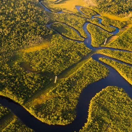 Rinnovabili • Deforestazione, i negoziati USA-Brasile sull’Amazzonia rallentano