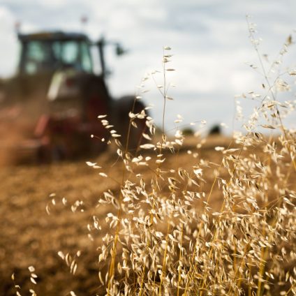 Rinnovabili • futuro dell'agricoltura