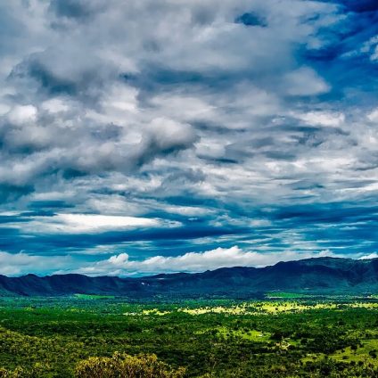 Rinnovabili • Deforestazione dell’Amazzonia: gli USA fanno un favore a Bolsonaro