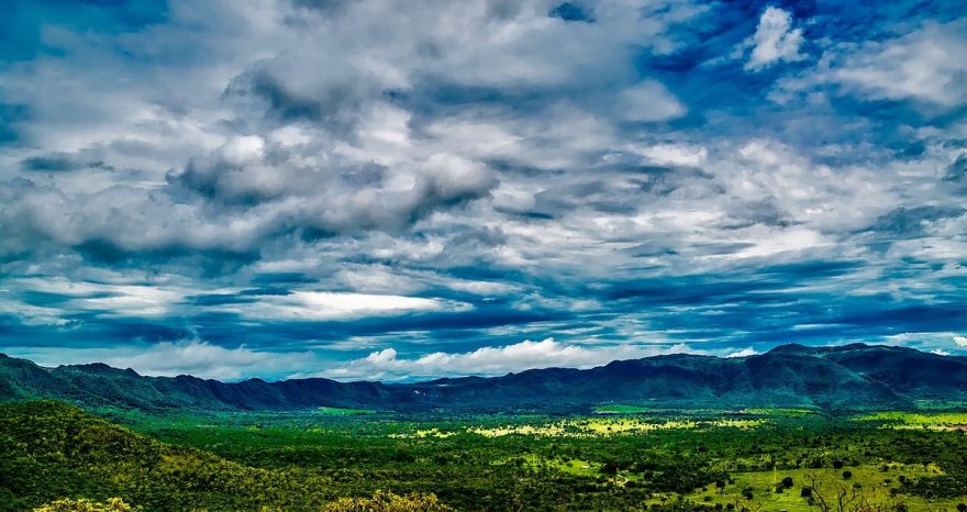 Rinnovabili • Deforestazione dell’Amazzonia: gli USA fanno un favore a Bolsonaro