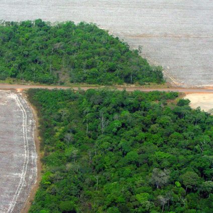 Rinnovabili • Disboscamento dell’Amazzonia: nuova legge aumenterà la deforestazione