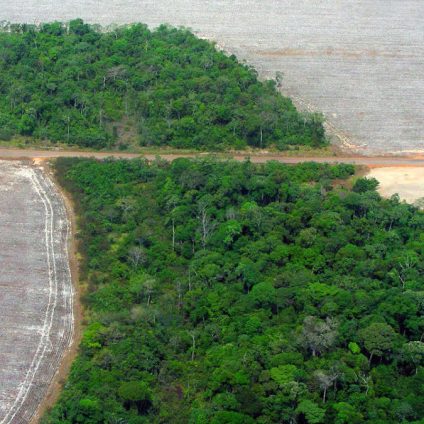 Rinnovabili • Deforestazione dell’Amazzonia: impennata ad aprile, +43%