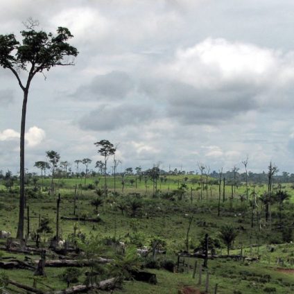 Rinnovabili • Amazzonia: da 10 anni emette più gas serra di quanti ne assorbe