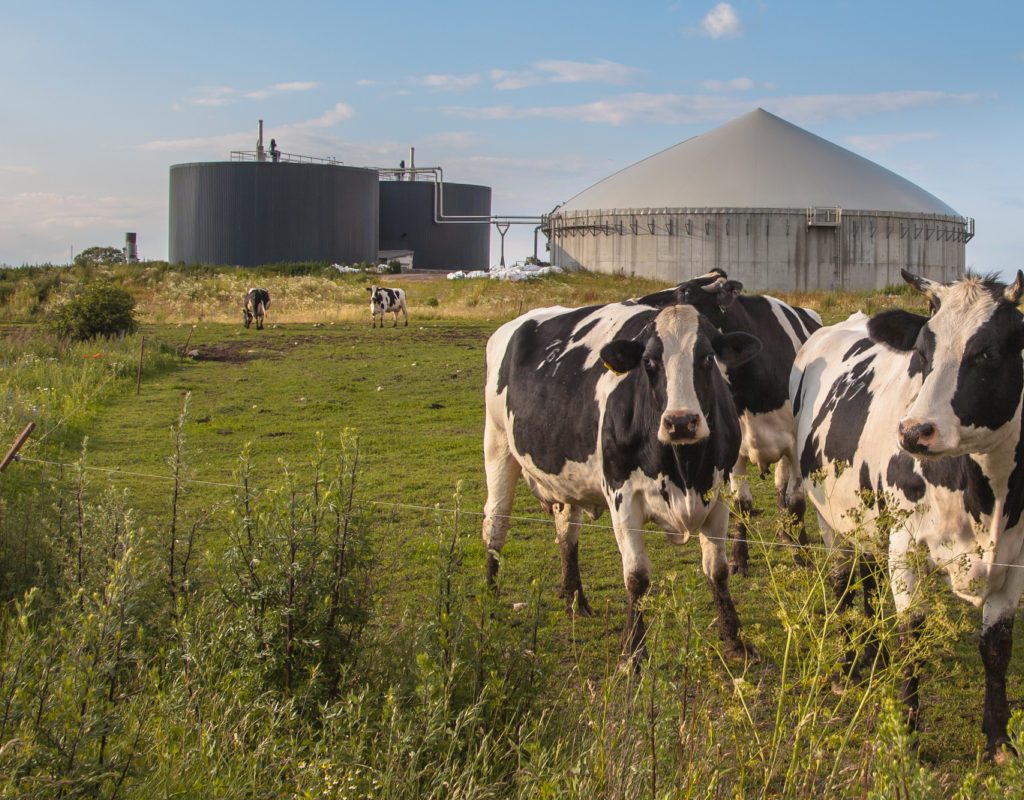 Farming For Future