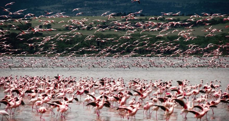 Rinnovabili • Tutela della biodiversità: la Germania lancia il Legacy Landscapes Fund