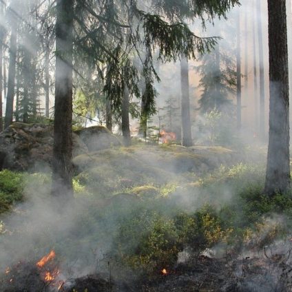 Rinnovabili • Incendi zombie: ecco l’algoritmo che li scopre