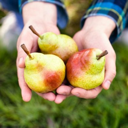 Rinnovabili • Ortofrutta: lo stato di salute del comparto in Italia, tra clima e GDO