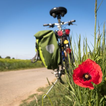 Rinnovabili • Ciclovia del Metauro