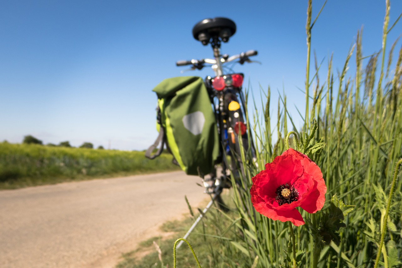 Rinnovabili • Ciclovia del Metauro