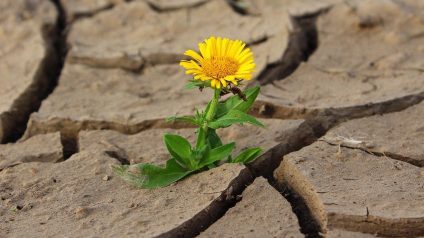 Rinnovabili • Giornata mondiale contro desertificazione e siccità