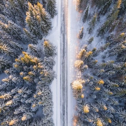 Rinnovabili • Foresta di Tongass: Biden rimette la protezione ambientale