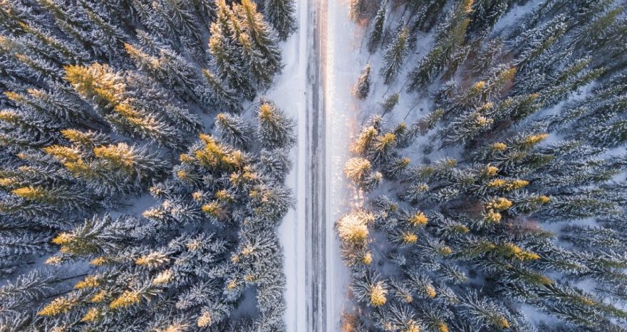 Rinnovabili • Foresta di Tongass: Biden rimette la protezione ambientale