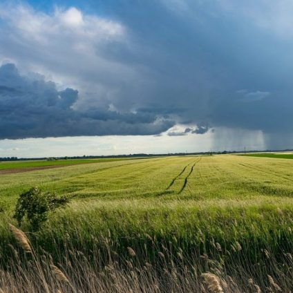 Rinnovabili • Adattamento ai cambiamenti climatici: il Consiglio UE approva la nuova Strategia