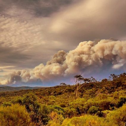 Rinnovabili • Effetti della pandemia sul clima: pesano di più gli incendi in Australia