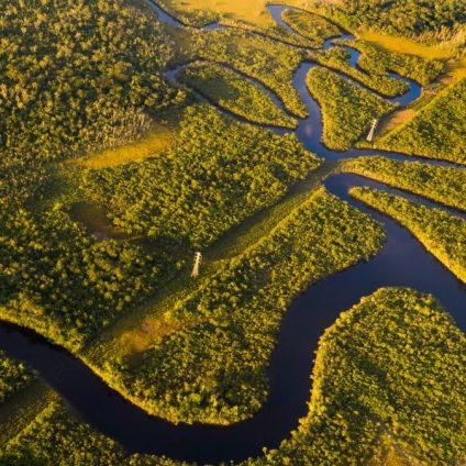 Rinnovabili • Foresta amazzonica: ufficiale, ormai è un emettitore netto di CO2