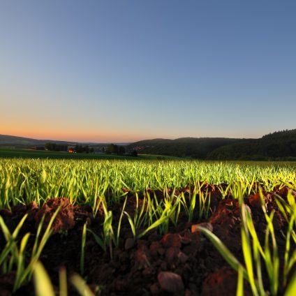 Rinnovabili • sostenibilità alimentare