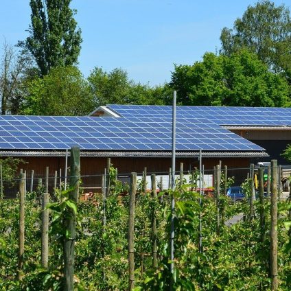 Rinnovabili • Fotovoltaico in agricoltura