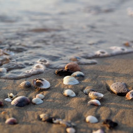 Rinnovabili • spiagge italiane