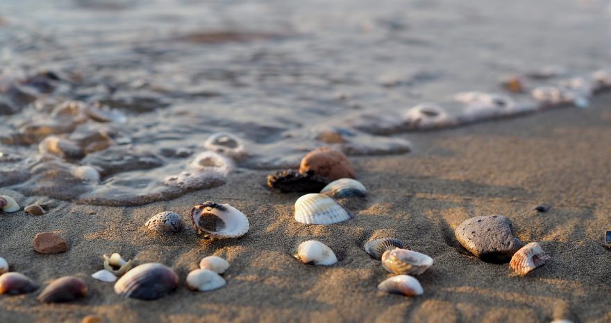 Rinnovabili • spiagge italiane