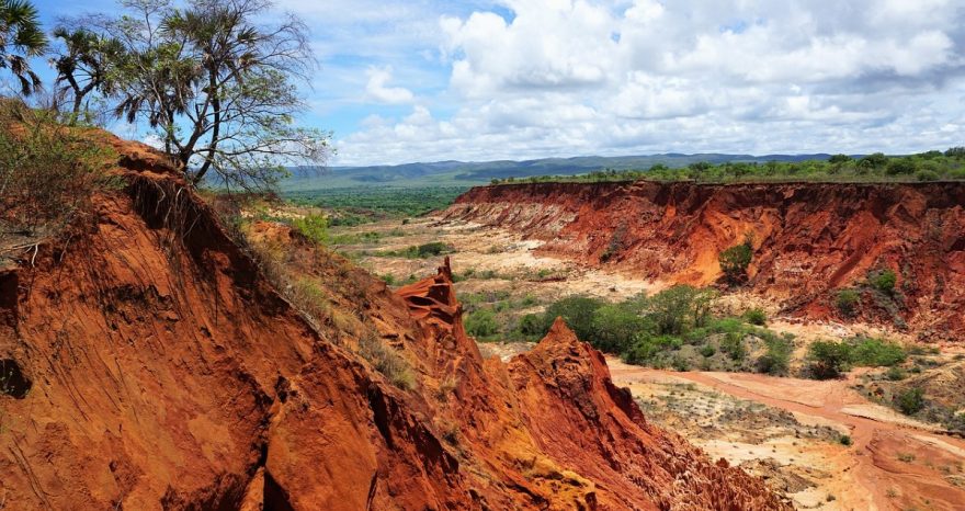 Rinnovabili • Madagascar, carestia da cambiamento climatico