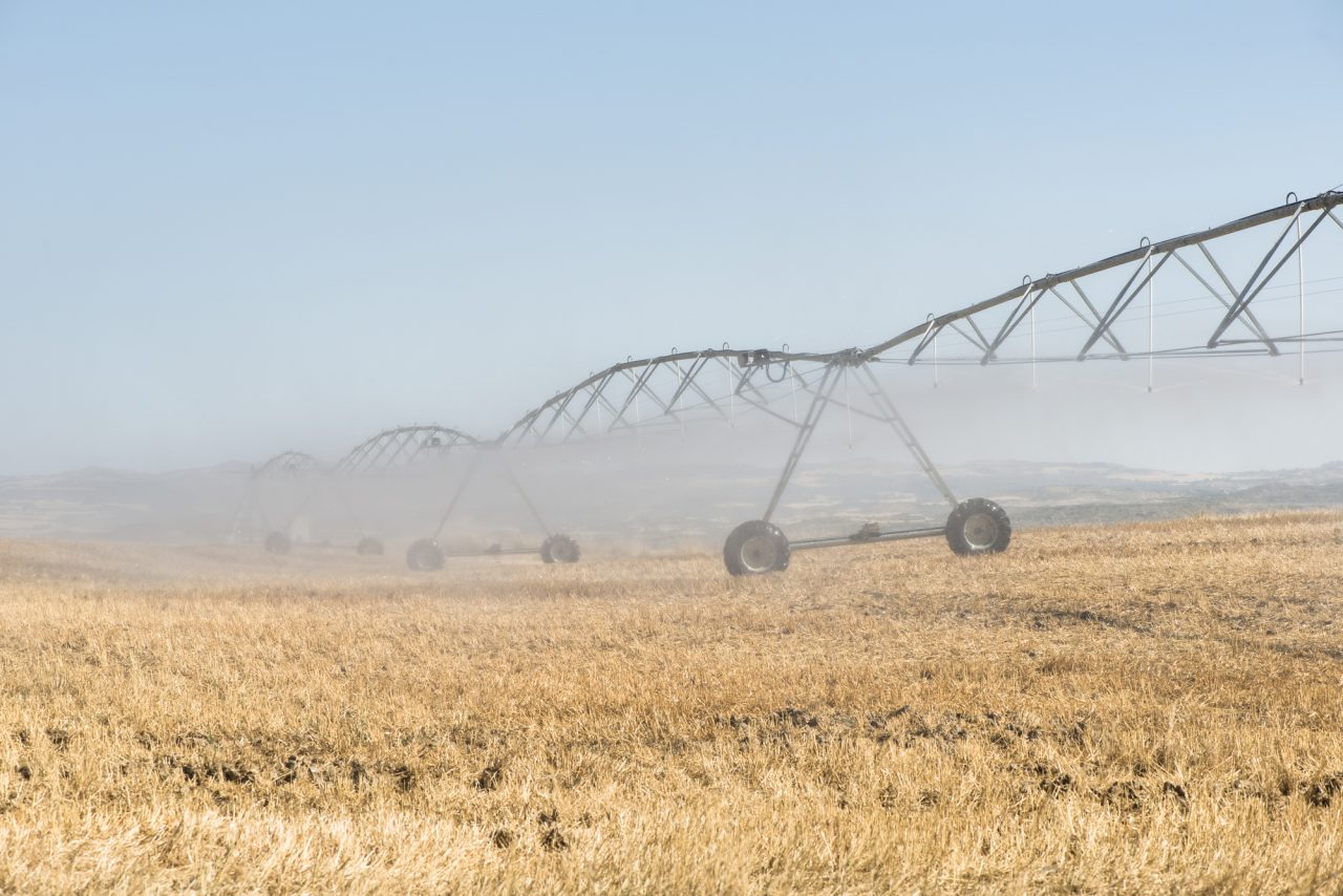 Rinnovabili • acqua in agricoltura