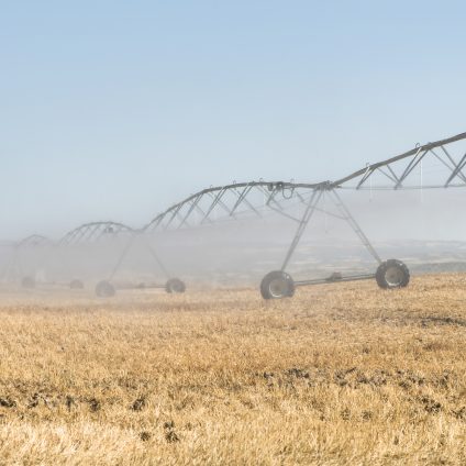 Rinnovabili • acqua in agricoltura