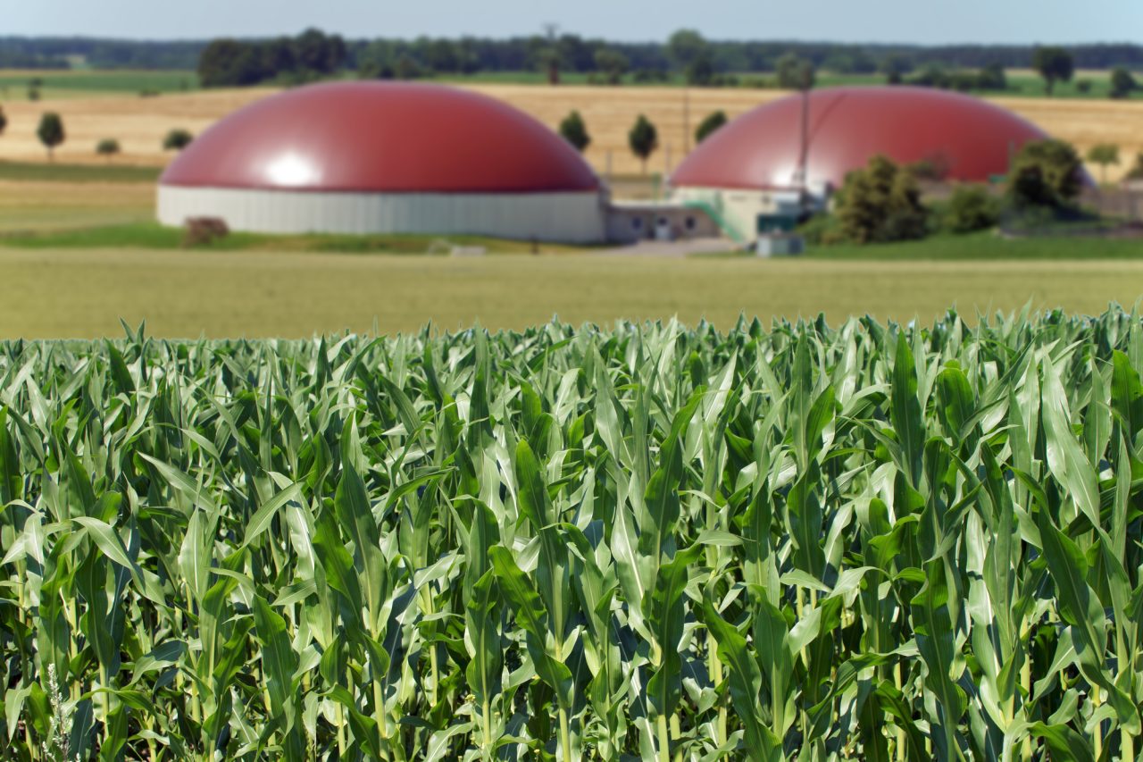 Rinnovabili • biometano agricolo