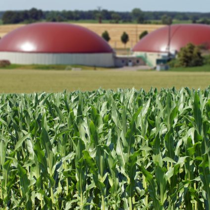 Rinnovabili • biometano agricolo