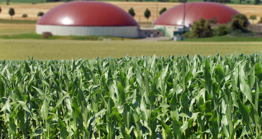 Rinnovabili • biometano agricolo