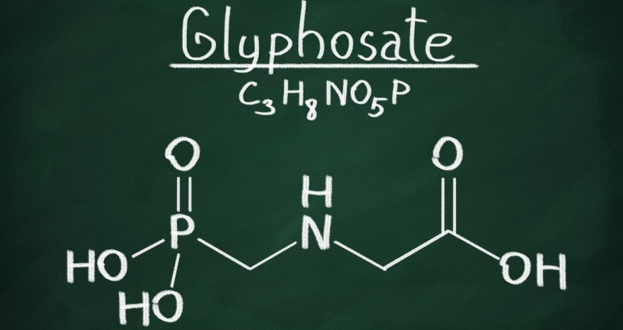 Rinnovabili • glifosato