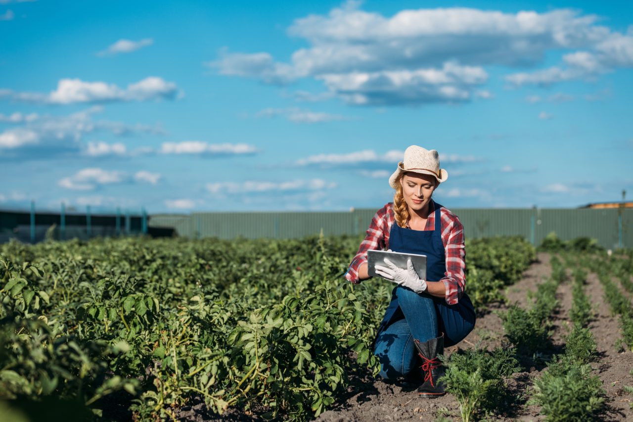 Rinnovabili • Giovani e agricoltura,