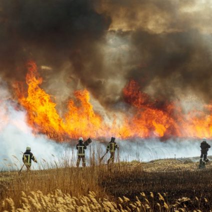 Rinnovabili • Stagione degli incendi: umidità e temperatura la rafforzano