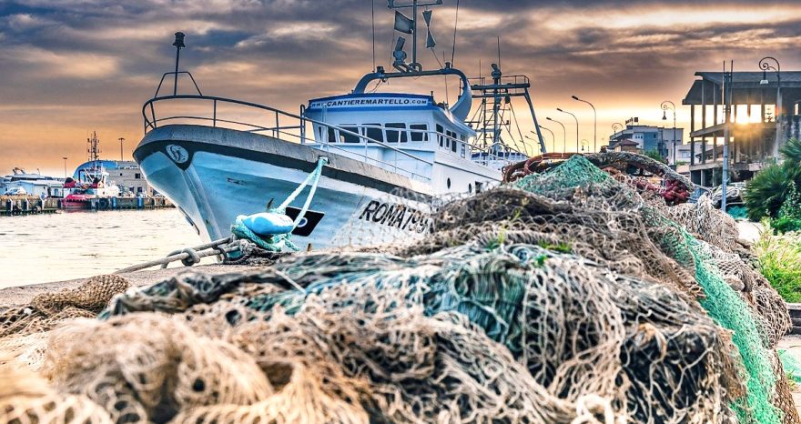 Rinnovabili • tutela degli oceani