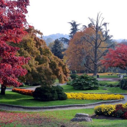 Rinnovabili • Verde urbano: in città gli alberi regalano anche -12°C