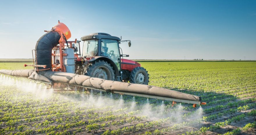 Rinnovabili • Dicamba: l’Epa valuta i rischi dell’erbicida erede del glifosato