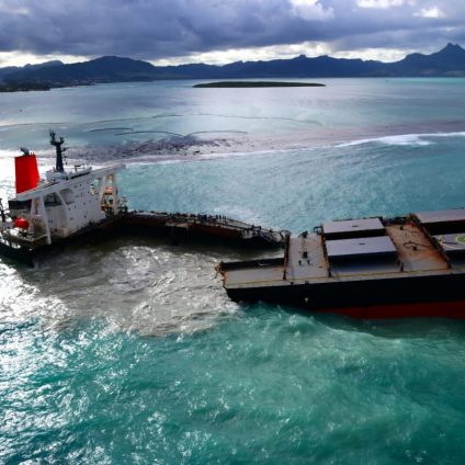 Rinnovabili • Disastro ambientale alle Mauritius: 20 mesi al capitano della nave