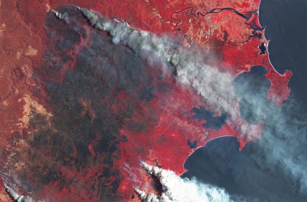 Stagione degli incendi 2021: rilasciate 1760 Mt di CO2 in aria