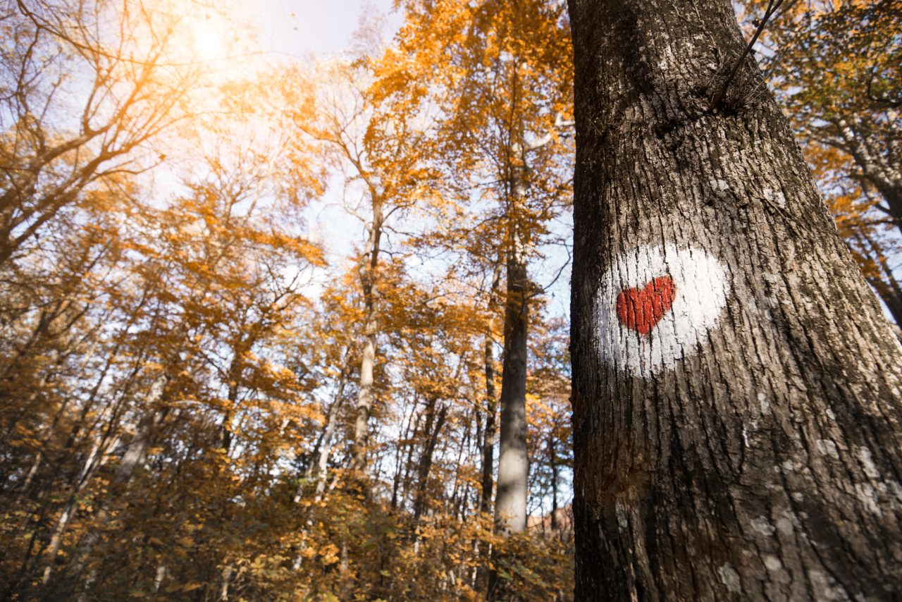 Rinnovabili • Tutela dell'ambiente