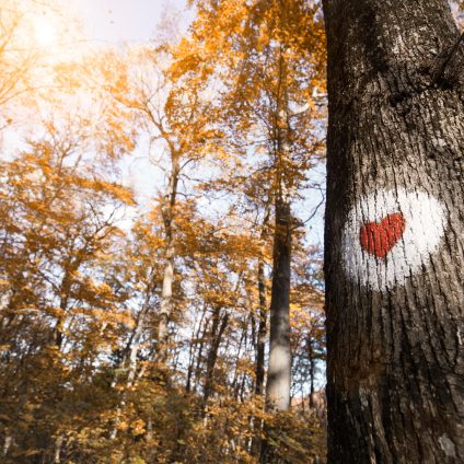 Rinnovabili • Tutela dell'ambiente