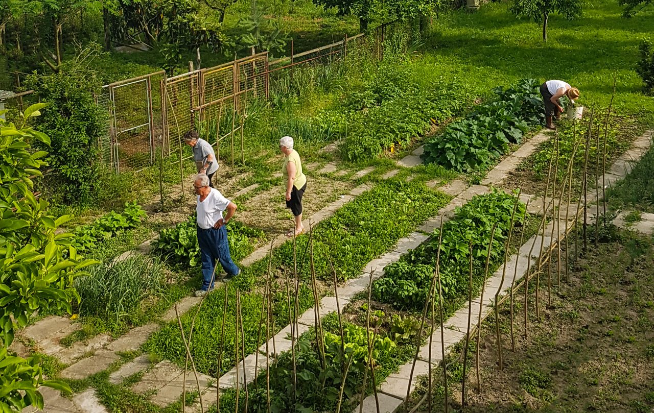 Rinnovabili • agricoltura sociale