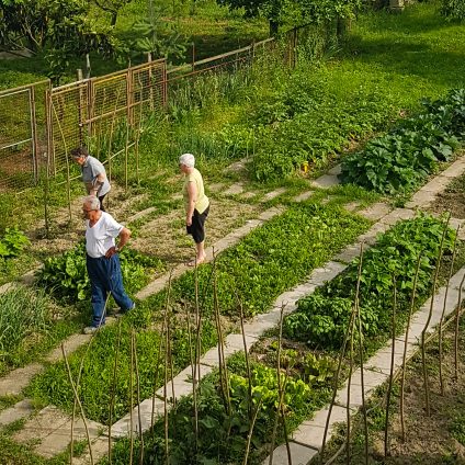 Rinnovabili • agricoltura sociale