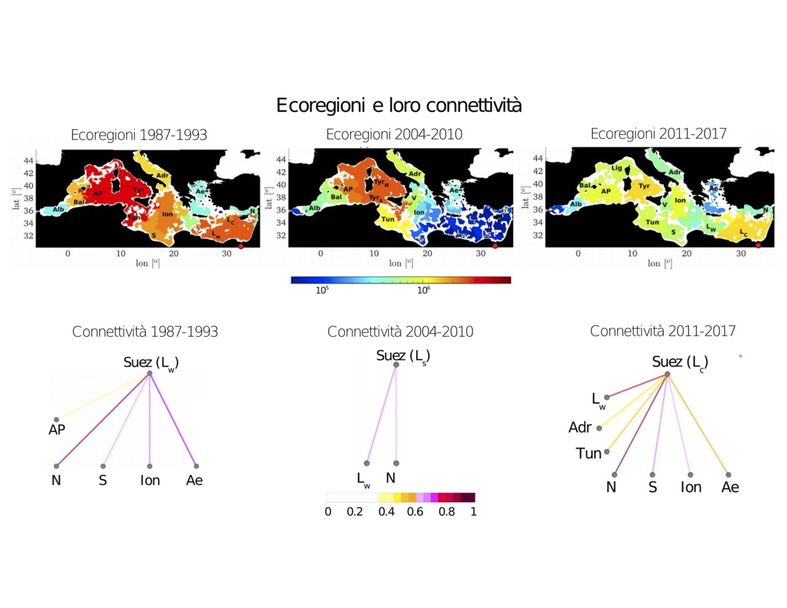 ecoregioni oceaniche