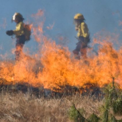 Rinnovabili • Incendi estremi: aumenteranno del 50% entro il 2100